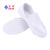 紫羲（ZXFH.NET）生产加工用防静电网面鞋 白蓝色PVC帆布两孔网眼鞋防静电工作无尘鞋 工作鞋 白色网面鞋+10双 34码