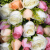 春匠（CHUNJIANG）情人节鲜花速递19朵红玫瑰花束礼盒生日礼物告白求婚全国同城配送 33朵混搭玫瑰礼盒