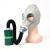 唐丰防毒面具 喷漆面具 化工化学全面罩 农药氨气 一氧化碳消防逃生防有机气体 酸性气体 背包1个