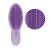 Tangle Teezer 美发梳TT梳子 顺发梳 防打结至美系列顺发梳 浪漫紫