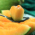 水果蔬菜新疆特级哈密瓜 西州蜜25号甜瓜 网纹瓜 7-8斤 新鲜水果