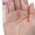 紫羲ZXFH.NET上海工厂直供透明塑料手套CPE手套 卫生手套 一次性环保手套100只装 透明CPE手套 均码