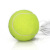 克洛斯威（CROSSWAY） 克洛斯威带绳网球耐打初学者单人带线回弹训练网球初级皮筋单人练习训练网球 带线网球   1个
