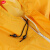 谋福 多功能连体防护服防尘服防雨服劳保雨衣工作服 粉末喷漆打磨 橙色 大XL-175