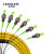 凌科朔（LINKSHIRE）电信级广电单模光纤跳线束状尾纤 1.5米12芯FC/APC圆头分纤箱收发器ODF光纤机架网线配线