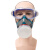 防毒面具 喷漆防毒口罩 化甲醛防护面罩 防尘打磨装修点焊口罩 化工防毒面罩 带眼镜 （4号套装）氨气+防雾眼镜