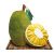益优果 海南三亚新鲜水果菠萝蜜黄肉1个20-25斤\\\/10-12.5kg\\\/\\\/