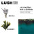 LUSH英国进口 LUSH 岚舒 海洋之星香氛皂 柔软肌肤手工皂精油皂 深层 500克