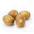 溢鲜居（顺丰配送） 新西兰进口黄金奇异果大果10个黄心猕猴桃新鲜水果