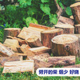 尚彡火柴火木柴露营篝火木材超耐烧壁炉硬木取暖户外烧烤干木柴真火木头 300斤短16-25cm烧烤农家灶焚火台