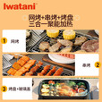 岩谷（Iwatani）多功能便携式烧烤炉三合一家用户外野炊烤肉烤串火锅炉ZGH-RBT-3S ZGH-RBT-3S烧烤炉(含烤网)+包Ｌ+4瓶气