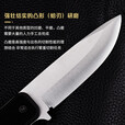 FALLKNIVEN QUALITY KNIVES瑞典进口fallkniven飞行员生存刀elmax高硬度粉末钢求生户外直刀 F1x  Elmax 钢本色