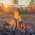 尚彡火柴火木柴露营篝火木材超耐烧壁炉硬木取暖户外烧烤干木柴真火木头 300斤短16-25cm烧烤农家灶焚火台