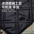 黑鹿（BLACKDEER）奇域野餐垫 草坪垫子地垫户外野炊便携防潮垫加厚爬行垫ins风餐布 【3-5人印加】特厚防水200*170cm