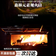 SURVEY NORTH 北部勘察户外露营帐篷取暖小型迷你火炉暖炉家用柴火取暖室内烤火炉采暖 不锈钢款