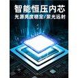 骆穂豆红绿镜弹弓瞄准仪可调激光抗震信号灯通用大容量 短【红激光】单支
