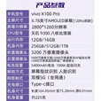 vivoX100 Pro（展机）蔡司APO长焦 蓝晶×天玑9300影像旗舰手机 赠送运费险详询客服 星迹蓝 16GB+1TB