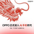 OPPO Find N3【24期免息】16GB+1TB赤壁丹霞超光影三主摄国密安全芯片手机 千山绿12G+512G 官方标配