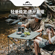 NatureHike挪客户外铝合金折叠桌超轻便携式露营野餐车载小桌子 大号【便携易收纳】松霜绿