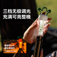 black dog黑狗萝卜灯帐篷灯户外野营灯超长续航充电灯露营灯氛围灯 胡萝卜-氛围挂灯【送S型挂钩】