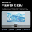 极米投影仪家用智能4K激光电视3D高清1080P无线 办公民宿酒店足浴 极米Play X home