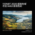 极米RS 10 Ultra 大师版 家用智能投影机 4K超高清 IMAX认证丨三色激光  4600CVIA  大师红圈镜头  RS 10 Ultra大师版 【4600CVIA】