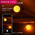 潮思汇LED露营户外照明充电挂灯超亮摆摊超长续航月亮灯帐篷氛围 氛围感/9800GL【极高功率】待48h 月亮灯三色可变(暖白-暖黄-自然