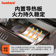 岩谷（Iwatani）卡式炉套装猛火炉户外便携防风瓦斯炉家用商用野炊火锅炉野炊炉 ZKZ-2F+5气+全收纳包