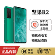 坚果新品坚果  锤子 坚果 R2 Pro3双5G手机锤子骁龙865手机全屏 坚果R2松绿色【全新未拆封】 8+256GB