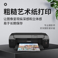佳能（Canon） PRO-200S/310/510彩色喷墨A3+专业照片打印机A2大型影楼商用相片8/10/12色艺术照摄影作品输出 PRO310【A3+/10色颜料墨水/有线+无线】 套餐一
