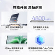 OPPOReno11 Pro  5G通 骁龙8+旗舰芯 拍照光影美学家 Reno 11Pro 松石绿 12GB+256GB 单机+第三方品牌快充+店保一年