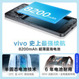 vivo Y500 新品5G手机 【24期免息】8200mAh超薄蓝海电池 IP69+满级防水 越级旗舰外观 耐用抗摔  玄武黑 12GB+512GB 超大电池 0首付12期白条免息+送90天碎屏保