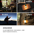 莱德雷神（LED LENSER）ML4露营灯小夜灯超长续航小巧便携户外照明灯 迷彩限定版 ML4暖光【迷彩限量色】