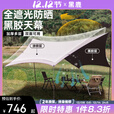 黑鹿（BLACKDEER）云荫黑胶天幕涂银防晒 户外露营便携野餐六角超大防雨遮阳棚24㎡ 云荫黑胶涂银天幕