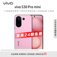 vivo S30 Pro mini 多彩小直屏 超级潜望长焦 6500mAh 学生 AI手机 智能 旗舰店【白条免息】 酷莓粉 12GB+512GB 官方标配