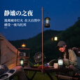 原始人户外露营灯架灯杆支架户外灯架杆露营灯野营桌面置物架挂架 经典黑折叠灯架