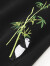 VENSUP短裤男女潮牌23夏季国潮熊猫竹子刺绣宽松大码纯棉中国风五分裤男 黑色 M码（建议95-110斤）