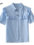 皮尔卡丹（pierre cardin）夏装2024新款女士衬衣纯棉衬衫女洋气全棉设计感小众短袖蕾丝上衣 蓝色 XL