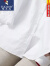 啄木鸟23春夏新款韩版时尚休闲纯棉白衬衫女百搭显瘦七分袖白衬衣潮女 白色 收藏家关注 优先发货 2XL 131-145