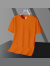 SKONWAT索罗娜T恤男半袖g木代尔T恤冰丝感圆领短袖男式T恤 浅绿色 3XL(155-175)