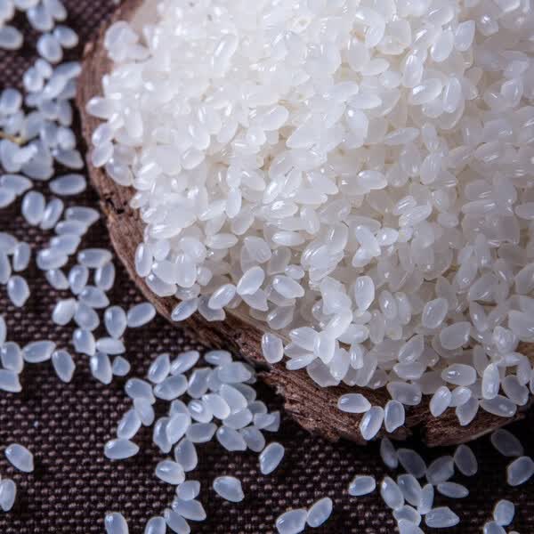 十月稻田东北大米5kg东北圆粒米10斤寒地珍珠米包邮