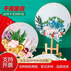 妃伶（fiyling） 古风唯美干花团扇自制DIY公司团建社区暖场商务活动材料制作全套 全店款式混发 团扇+花盒+胶水+镊子+扇架+样图