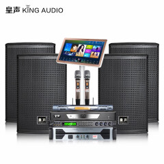 皇声音响（HUANG SHENG）皇声D12一拖四KTV音响套装+点歌机+无线话筒 专业Ktv酒吧K歌全套 D12一拖四+点歌机+无线话筒