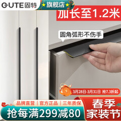 固特（GUTE）拉手柜门隐形衣柜门拉手加长1米2嵌入式抽屉暗拉手橱柜平把手家具 孔距96mm总长（120）