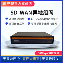 迅博sdwan异地组网 nas访问 分支互联 文件共享 虚拟局域网 远程办公 内网端口映射路由器 XC1209