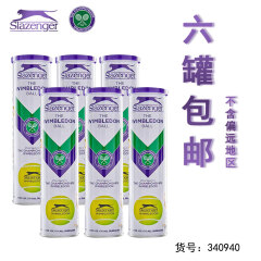 史莱辛格（Slazenger） 网球4颗装温网比赛用球铁罐网球羊毛豹子球施莱辛格 340940 4粒装铁罐/6罐