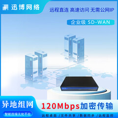 迅博sdwan异地组网 nas访问 异地监控 虚拟局域网 ERP OA 远程办公 IPv6 分支互联 企业级路由器 XC1216