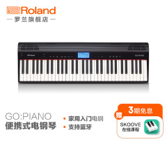 罗兰（Roland）GO-61P便携式电钢琴61键 GO:PIANO键盘家用初学入门电子钢琴儿童 GO-61P琴体