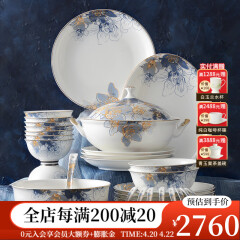 华光国瓷 碗碟套装 骨瓷餐具碗盘碟 欧式家用陶瓷餐具 梦幻卡布里 梦幻卡布里 32头