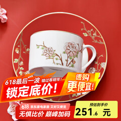 华光国瓷 骨瓷咖啡杯碟套装 故宫宫廷风咖啡杯碟 创意送礼礼盒装 锦色